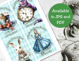 Vintage Alice in Wonderland Capri Sun Printable Label