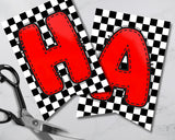Checkered Flag Racing Birthday Pennant Banner Printable