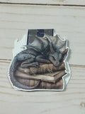 Book Dragon Magnetic Bookmark