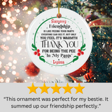 Custom Best Friend Ornament – Funny Christmas Tree Decor for Your BFF