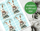 Vintage Alice in Wonderland Capri Sun Printable Label