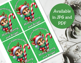 Reindeer Capri Sun Labels – Printable Christmas Drink Pouch Stickers for Kids
