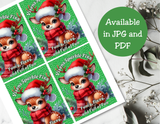 Reindeer Capri Sun Labels – Printable Christmas Drink Pouch Stickers for Kids