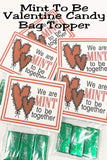 We are Mint to be Together.  Tell your Valentine how much you should be together on Valentine's with this printable bag topper perfect for class parties, kids' lunches, or any special treat.