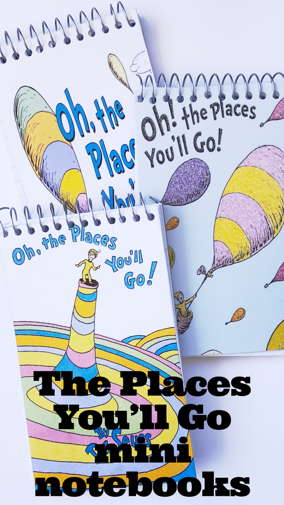 The Places You'll Go Mini Notebooks – DIY Party Mom