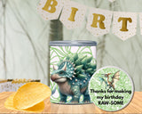 Dinosaur Pringles Can Label Printable – Kids Birthday Party Favor