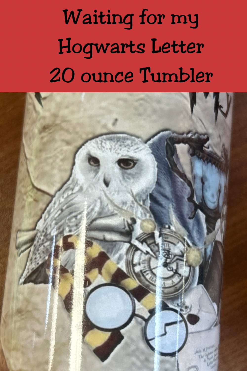Waiting for my Hogwarts Letter 20   Oz Tumbler  *727