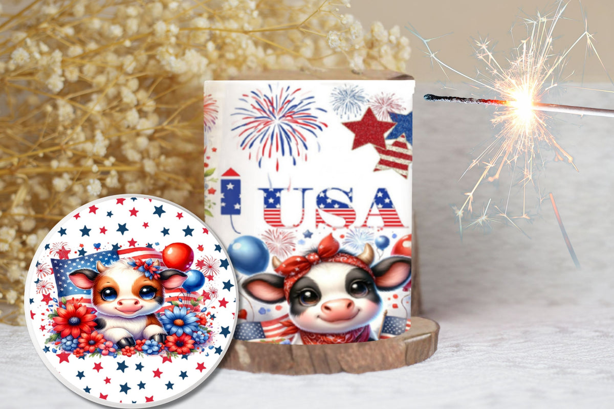 USA 250 Pringles Can Labels – 4th of July Party Favor Printable