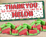 One in a Melon Thank You Canva Template Bag Topper Printable