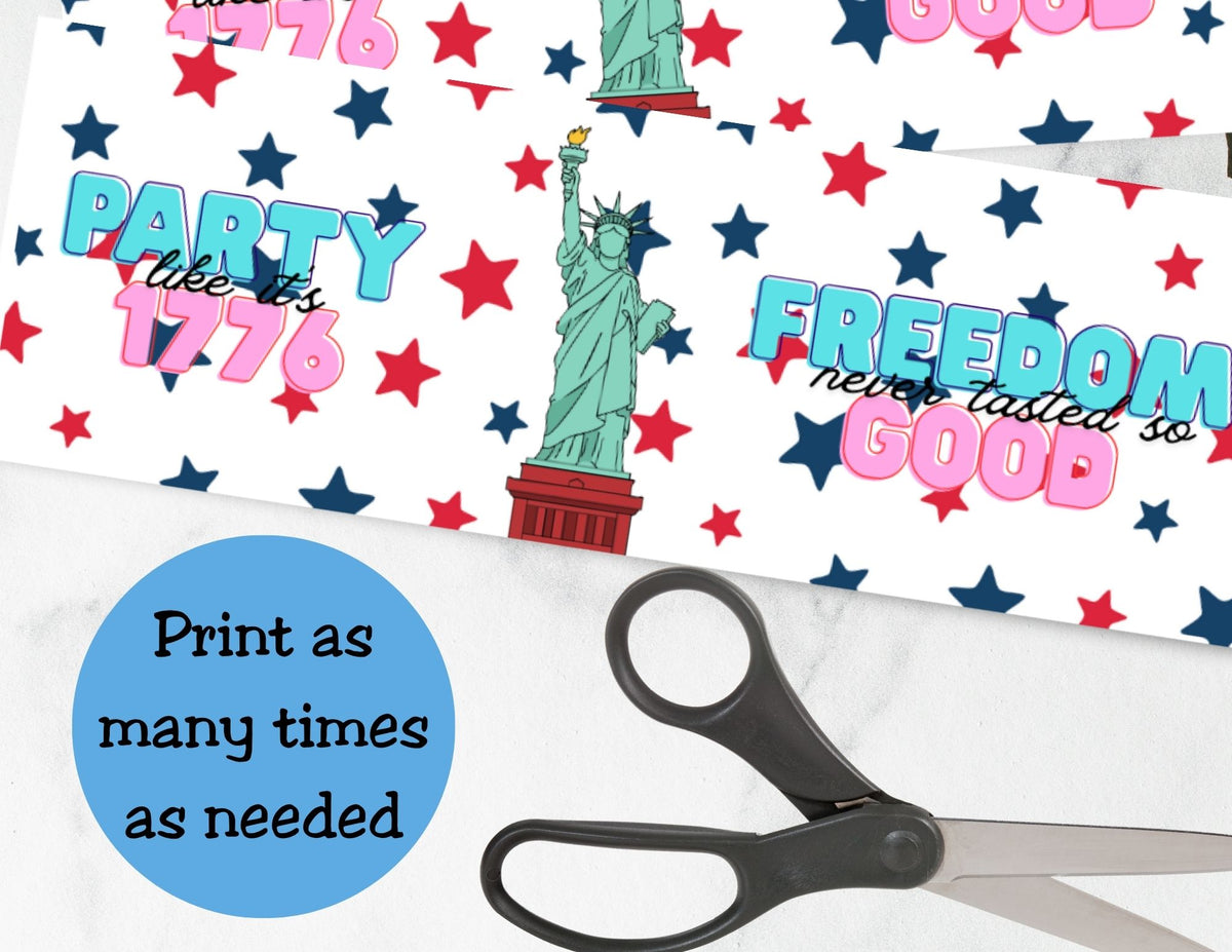 Freedom Never Tasted So Good Pringles Can Wrapper Printable | 4th of July Party Favor | USA 250 Snack Label