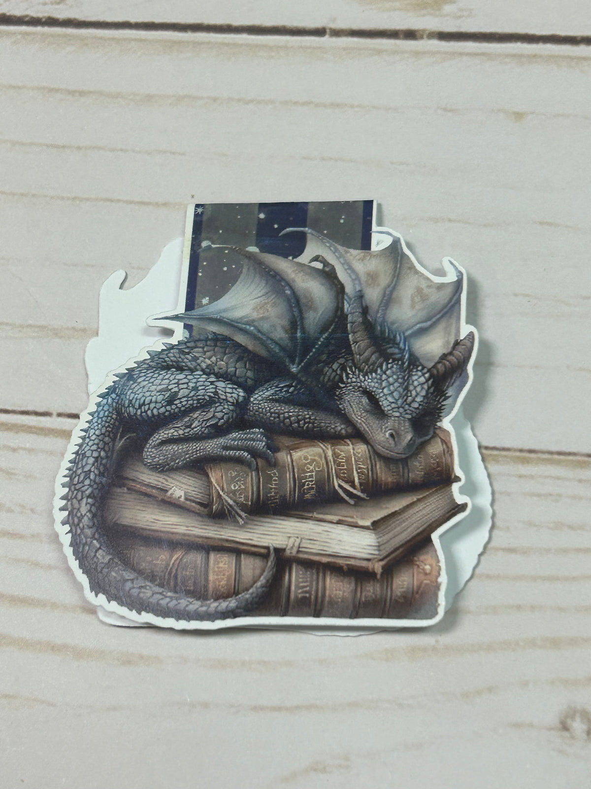Book Dragon Magnetic Bookmark