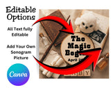 Promotional graphic for 'The Magic Begins' with a teddy bear, books, and a sonogram, featuring Canva branding.