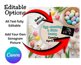 Editable Easter Baby Reveal • Egg-Specting Baby Announcement