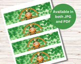 Leprechaun Lemonade Label Printable