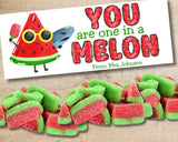 One in a Melon Canva Template Personalizable Bag Topper Printable