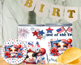 USA 250 Pringles Can Labels – 4th of July Party Favor Printable