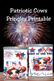USA 250 Pringles Can Labels – 4th of July Party Favor Printable