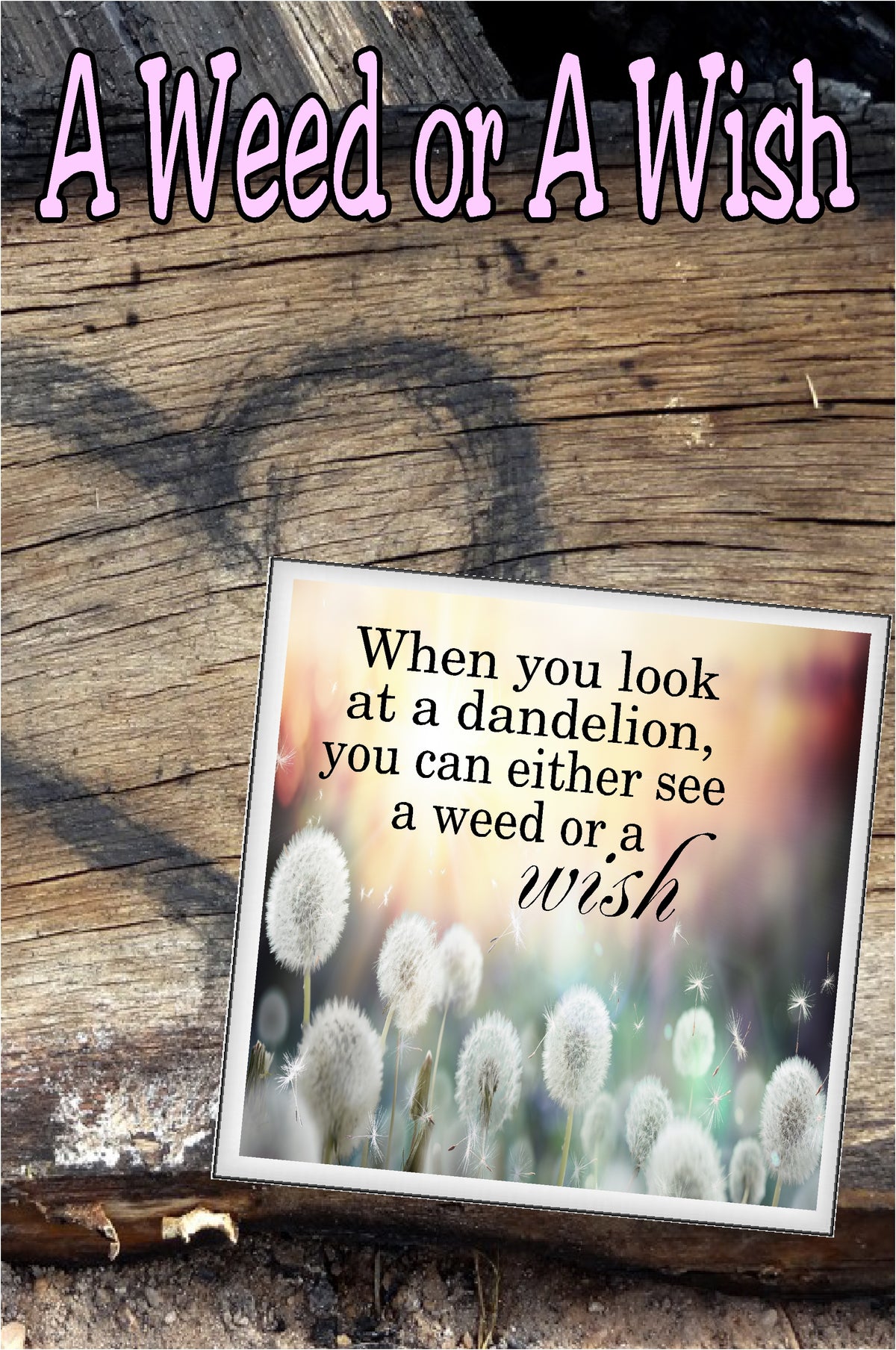 "When you look at a Dandelion, you can either see a weed or a wish."