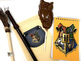 Harry Potter Book Bags