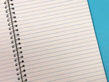 My Day is Booked Custom Notebook