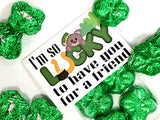 Lucky Friend St Patricks Day Bag Topper