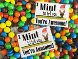 Mint to Tell You Candy Bag Topper