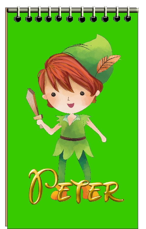 Peter Pan Mini Notebooks