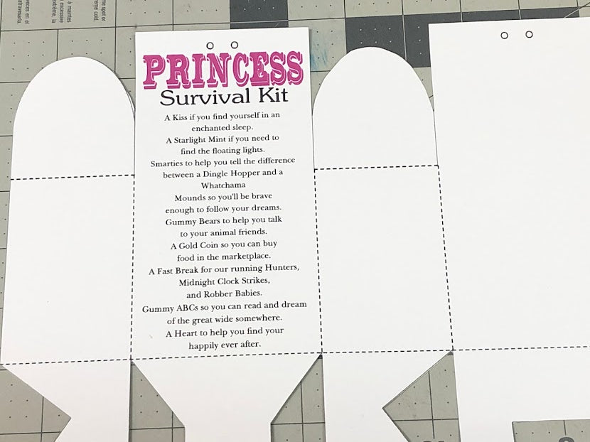 Princess Survival Kit