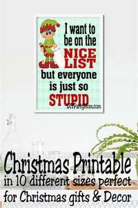 Stupid Nice List Christmas Decor Printable