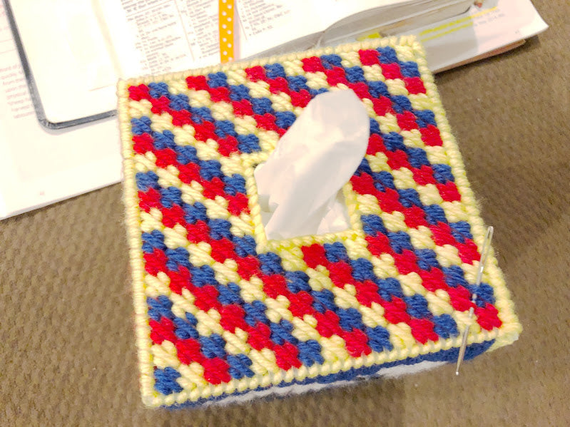 Sesame Street Pick Your Side Plastic Canvas Tissue Box Pattern