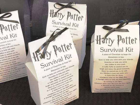 Hogwarts 10 Piece small Treat Favor Box Harry Potter Party bags cardstock  Gift