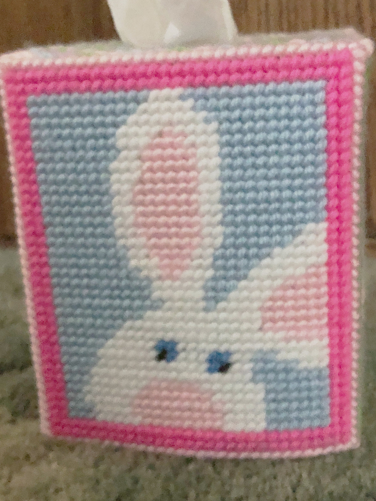 Peeking Bunny Easter Plastic Canvas Tissue Box Pattern