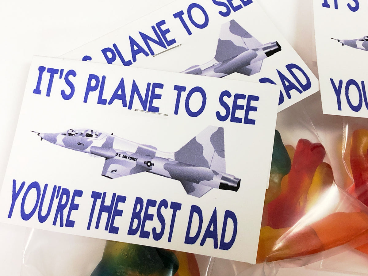 Plane to See Dad Bag Topper
