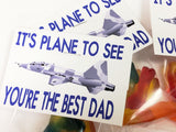 Plane to See Dad Bag Topper