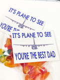 Plane to See Dad Bag Topper