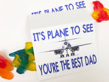 Plane to See Dad Bag Topper
