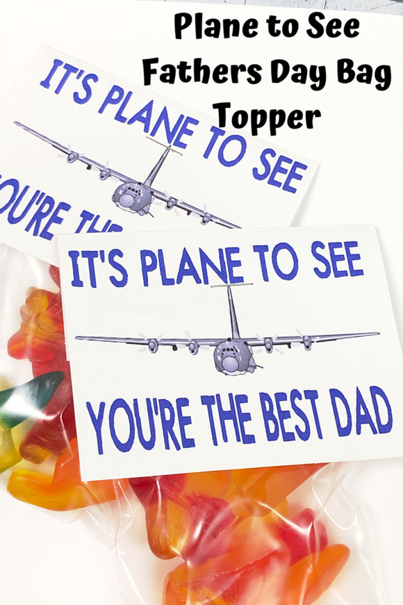 Plane to See Dad Bag Topper