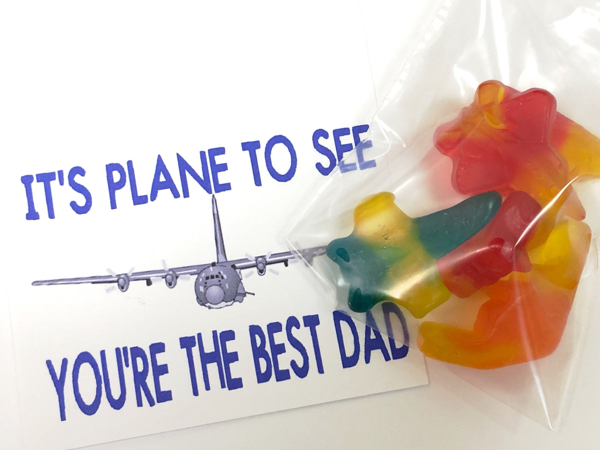 Plane to See Dad Bag Topper