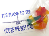 Plane to See Dad Bag Topper