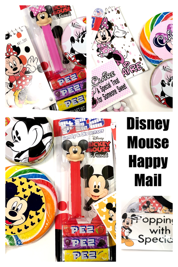 Disney Mouse Happy Mail Care Package Gift
